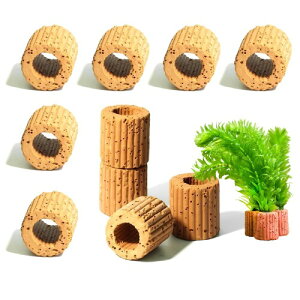 YFFSFDC  Œ胊O 10Zbg AŒ  Zbg قƂǂ̐̌ŒɓKĂ܂ 