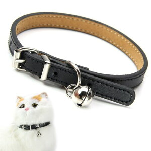 Sekusii L t TCY߉\ v _炩 Lp F y _炩 킢 lC ʋC U op ybgav[g ybgpi XS ubN