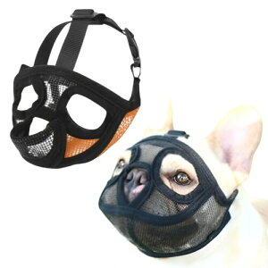 GIVETOP Z팢p   g[jO bV ݂h~ ʖih~ ߂ ݂ h~ ^ ^ ^ }Y p rߖh~ U P  Ck p