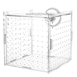 NASSIA t ɐBu{bNX  10x10x10cm zՕt  uP[X t甠 @\Y