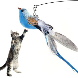 GHOSTCAT L炵  L  H ˂炵 Ĥ  lV L̊ߋ t ނ  j[NȃfUC ɂȂ u[