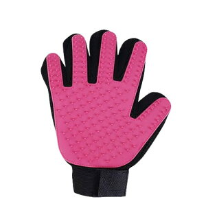 NASSIA ybg uV O[u  L  ю N[i[ }bT[W _ ʋC (sN)