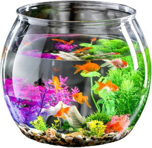 RekiLife   _J  vX`bN AN CeA e {E  (MTCY)