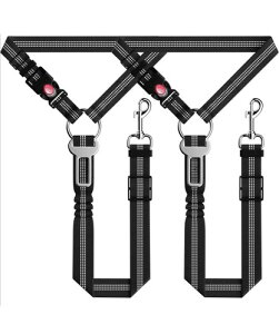 Vitalux Ԑp[h ybg p L V[gxg яoh~ Lk \ ȒP obNt 2{Zbg(ubN)