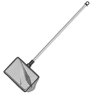 Pawlfyق̋ԁALkXeXnh̊p`ԁAזԉDAHicԁAS~AAȋьrƒr̉萴| ubN