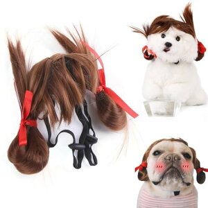 PAVIKE ybgEBbO 蕨  L ybgpXq NX}X VN  ʔ ڂɗ ΂  RXv  EȒP ϐg Be