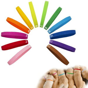 qL qp 12FZbg ybgpʎ 112܂ł̔ԍ V ybg q&qL̎  _̑f ߉\ }WbNe[vt ȒPE ʃJ[