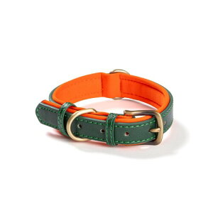   y U[ 킢  ̎ (O[, S)