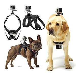 Goproppn[lX \tg ߉\ Gopro pn[lX ^ ^ ^p Ɣw̌ŒɎgp\ Gopro Hero SfɓKĂ܂