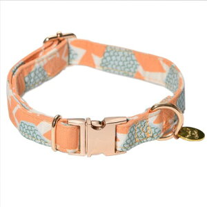   100% ̎ ^A^A^p q  y ybgpi  ʋC _炩 ߉\ ȒPE 킢 if MTCYj