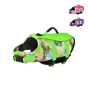 Tinsin ybg CtWPbg p WPbg nCpCtWPbg ^ ^ ^ w̎t V ߉\ EȒP j~ x nht