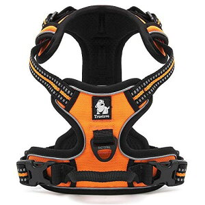 cocomall pn[lX p hbO ybgpi n[lX 3Mˍޗ P iC ^A^A^Ɍ ʋC ߉\ (XS, IW)