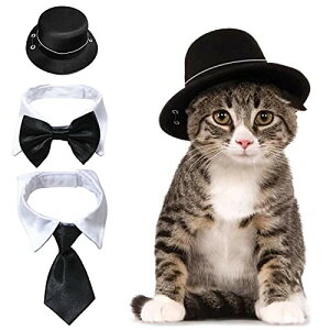 HACRAHO hbOVNnbgƒlN^C, 3s[XybgVNnbgƃybg{E^CybglbN{E^p̒\ȃtH[}J[lbNlN^C