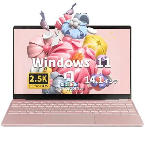 ESBOOK m[gp\R 2.5KtIPS (2560x 1440𑜓x) m[gPC CeCeleron N5095 16G DDR4L /z14^/ BWebJ / Windows11ProMS Office 2019 / wFؕt/obNCg̃L[{[