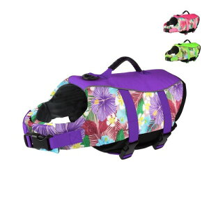 Tinsin ybg CtWPbg p WPbg nCpCtWPbg ^ ^ ^ w̎t V ߉\ EȒP j~ x nht