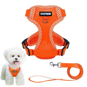 ybgpn[lX[hZbg  n[lX ^ L ^  p  SȂ  _ubN bV ɂ ȒPCk hbO o U Oo