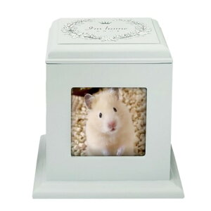 Rest in peace.pEp 茳{ チA{bNX tHgt[t ~jٓ ybg{ RpNgybgd 2[ (ybĝ)