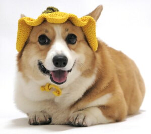 Fluffy tofu pXq RX`[ SΉ ^ ^ ^ | ʐ^Be a U oɂ҂iF M)