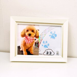 ybgpiLjʐ^  ̃R̐ƓtHgt[Anytime a voice JzCgEu[