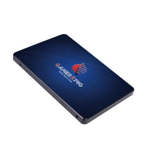 GamerKing SSD 64GB SATA III 2.5 Inch 6Gb/s �����^ Solid State Drive �n�[�h�h���C�u �����\�n�[�h�h���C�u�m�[�g/�p�\�R��/�f�X�N�g�b�v�K�p �\���b�h�X�e�[�g�h���C�u 3�N�ۏ�SSD (64GB, 2.5-SATAIII)