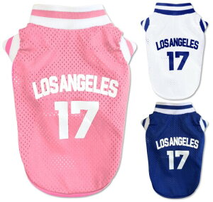 Stylish  Hp gt T[X 17 ʋCbV  m AJX^C ^`^ (sN, M)