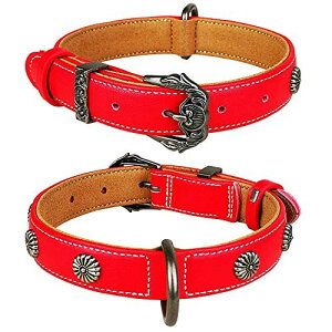 Beanspet AeB[NpU[ ^E^p }CNt@Co[ hbOJ[ XS`LTCYWJ (STCY, bh)