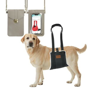 feliz-ganeshaya pn[lX sT|[g L h  X}zV_[Zbg (LTCY)