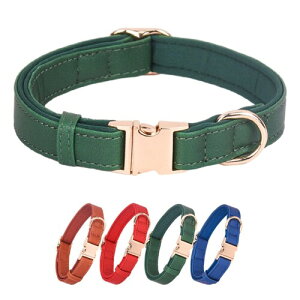 WDPAWS   x[VbN  PUv  킢 ̎ ʂт obN ^p(S O[)