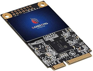 GamerKing SSD Msata 1TB SATA III 6Gb/s NGFF ^ Solid State Drive n[hhCu \n[hhCum[g/p\R/fXNgbvKp \bhXe[ghCu 3NۏSSD (1TB, Msata)
