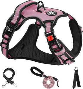 NESTROAD  n[lX p ߉\ Ԕ ^/^/^ ʋC bV s⏕ U p y S  h~ hbO P Č Hc ̂́[˂(