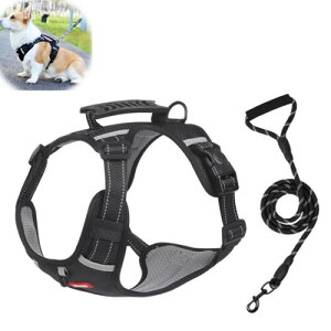 GIIPET OɂAɗDpn[lX n[lX ^ ^ ^ p ߉\ s⏕n[lX ֑ ̎\tgn[lX EȒP ʋC bVf y