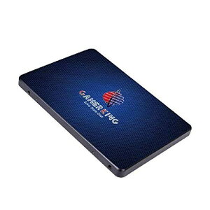 GamerKing SSD 480GB SATA III 2.5 Inch 6Gb/s ^ Solid State Drive n[hhCu \n[hhCum[g/p\R/fXNgbvKp \bhXe[ghCu 3NۏSSD (480GB, 2.5-SATAIII)