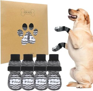 BINGPET  C pC ~ 4Zbg ی ̌C _炩 EȂ ybg\bNX }WbNe[vt h ]|h~  p ʋC Lk  V T|[g r