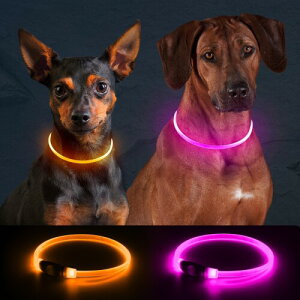 2pbN  USB[dLED̎ ߉\ȈÈł  U Cg hShbOCg ^^p(IW+sN)