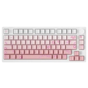 DAREU EK75PRO Q[~OL[{[h   sN eL[X 75% JjJL[{[h 2.4GCX/Bluetooth/LUSBڑ\ KXPbg}Eg 81L[ pz  RGB zbgX