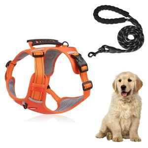 GIIPET OɂAɗDpn[lX n[lX ^ ^ ^ p ߉\ s⏕n[lX ֑ ̎\tgn[lX EȒP ʋC bVf y