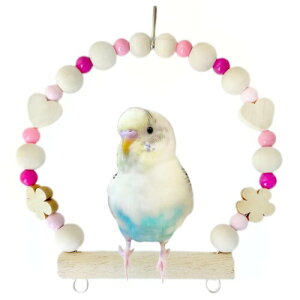 { SSf VR ZLZCCR   uR XCO STCY  AX`bN XeX ɂ ^CvNA (STCY NA60: ZsN)