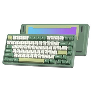 Womier SK75 Q[~OL[{[h A~ 75%@BL[{[h Bluetooth/2.4G/Wired zbgXbv XCb`\ KXPbg RGBCgt Mac/WinKp PBTL[Lbv (O[)