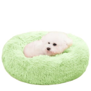 ZurZur L  NbV ybgxbh ӂӂ  薰 g h[ic Eh^  h ΍ 􂦂 ~ ӂӂLp \t@[ ʔN ybgpi