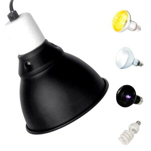 ShiawaseforU ঒ޗpCgh[ vz_[ ঒ރq[^[z_[ ঒ޓdz_[ UVA/UVBƖ vVF[h 3̕ti 5.5C` 14cma