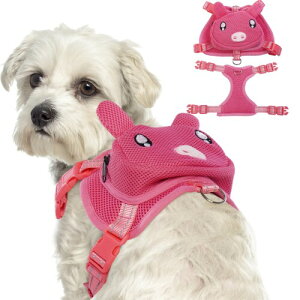 IECOii  n[lX y  bN 킢ybgobNpbN ߉\ ʋC  U AEghAp sp ^ sN L