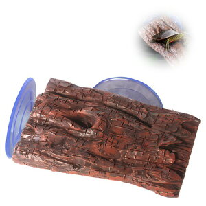 PAVIKE T  傫T̕ T n͋[ ঒   n VF^[ ANAE B  n Lk    n ঒ޕ