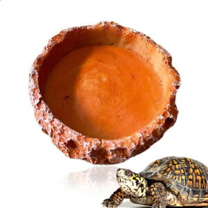 ঒ GTM  gJQ T  R̊C[W EH[^[fBbV a H ঒ޗp tB[fBOfBbV  KG wr 8*8*2cm ЂԂɂ 