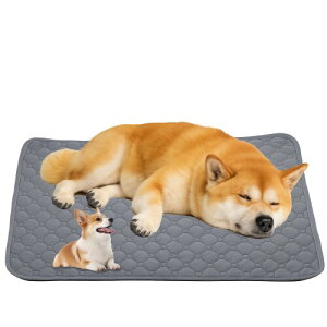 SHUVZARI w2025 ǌ^xybgpgC}bg 􂦂 ^Cv Lpbzpbh zEE~߁Eh~bېOKEJԂgpbgCg[j