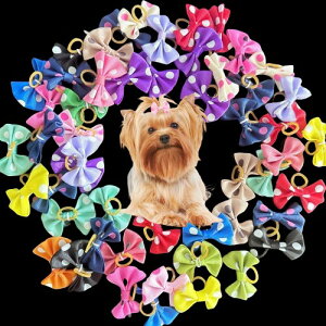  wAS 48Zbg  { S wAoh  hbg L p wAANZT[  ybg   F (hbg)