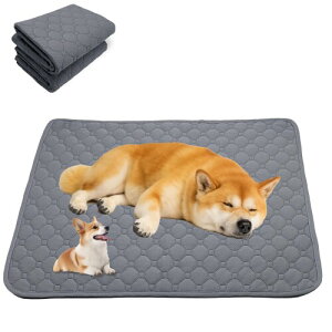 SHUVZARI w2025 ǌ^xybgpgC}bg 􂦂 ^Cv Lpbzpbh zEE~߁Eh~bېOKEJԂgpbgCg[j