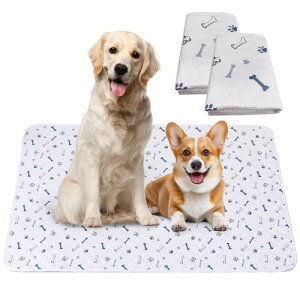 Para Sora 􂦂 ybgV[c L p 2Zbg(100×70cm)  ~ h ybg}bg  z L ybgV[c ld\ Rh~  JԂgp\ ۂƐ