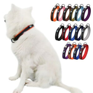 Paipeper  ̎  J[ ^ ^ ^  ybgpi P ߉\ ˌ݌v iC qD`[J[isN SF1.5*25-32CMj