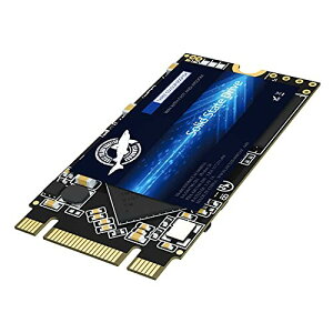 M.2 2242 Solid State Drive 500GB Ngff Dogfish SSD Sata3 SataIII 42 * 22MM mini Hard Drive M2 SSD m[g/p\R/Kp M.2 SSD ܂ 120GB 240GB 480GB 1TB (500Gb, M.2 2242)