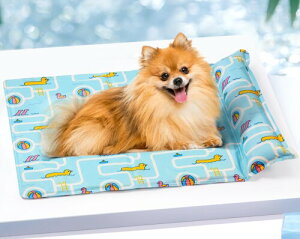 Pawtasy ybg Ђ}bg t p Lp pWF}bg ėp ΍ ⊴ybgp}bg T|[g 3TCY S 50x40cm Rh~݌v